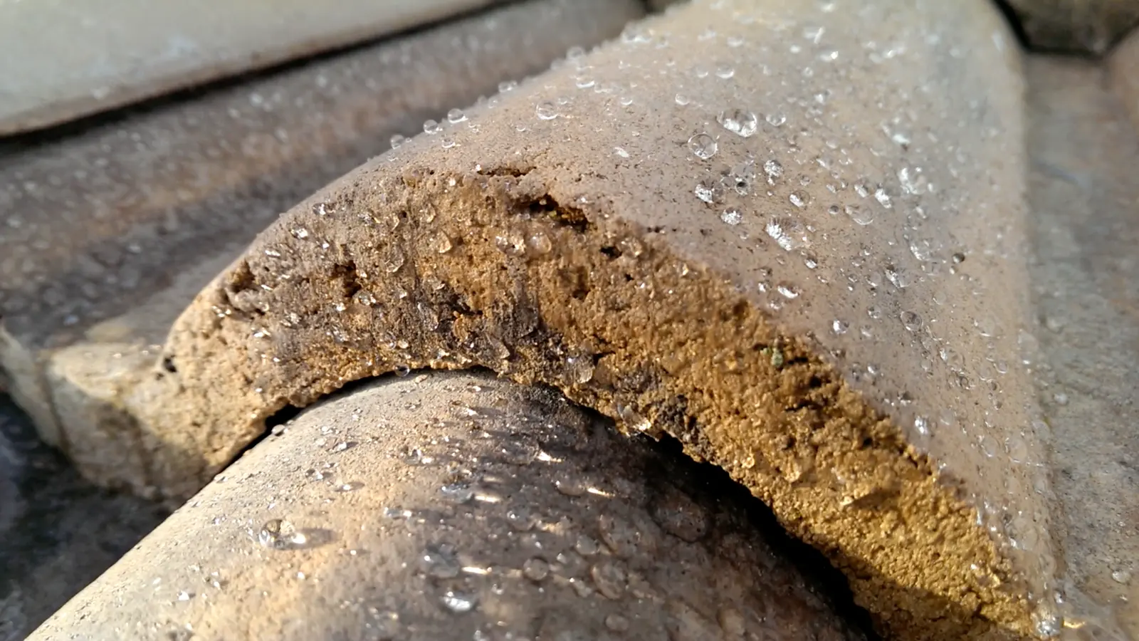 Water droplets on a treated ridge tile