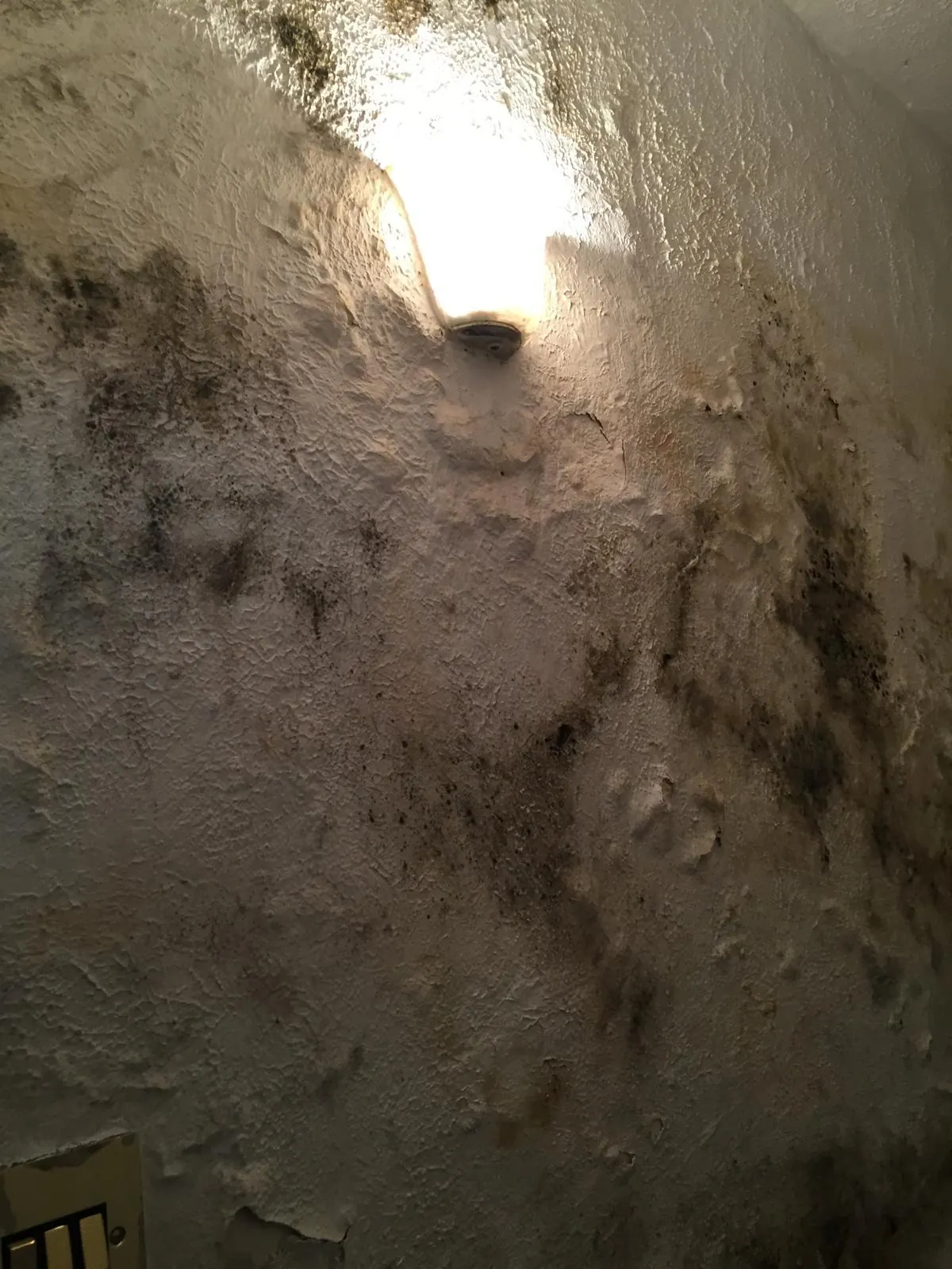Severe mould growth around a wall light on an interior wall