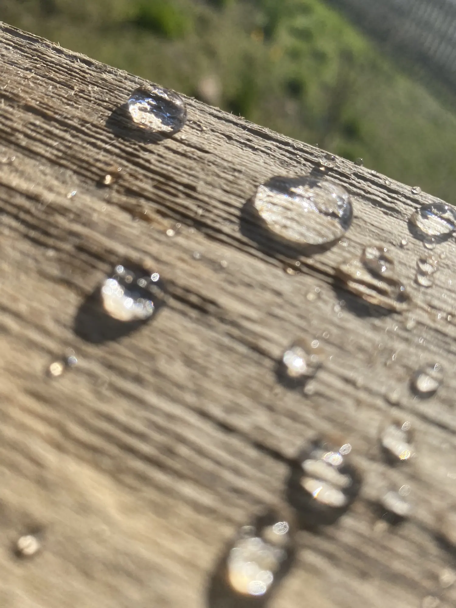 Water beading on a treated timber rail